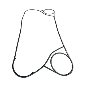 SPARE PLATE & GASKET