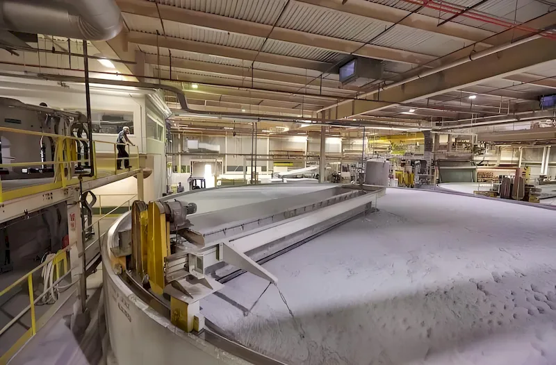 Pulp & Paper Industry